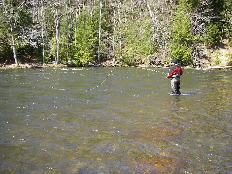 How Much Does It Cost To Get Into Fly Fishing?