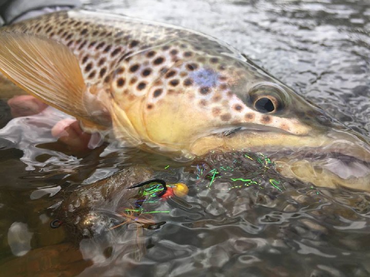 Is Fly Fishing Ethical?