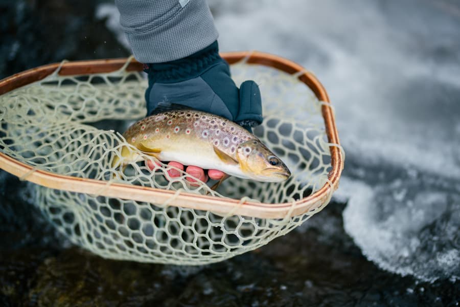 Is Fly Fishing Ethical?