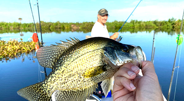 Where Can I Fish In Florida Without A License?
