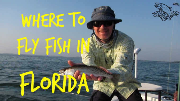 Where Can I Fly Fish In Florida?